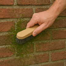 Enlever dépôts verts