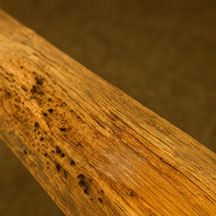 Etat du bois Etat du bois